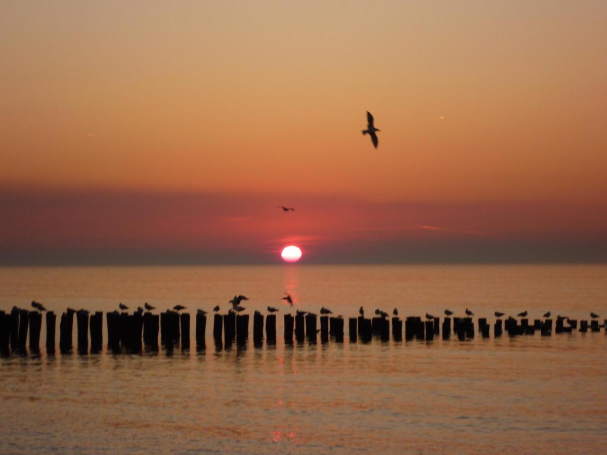Vakantiehuis Domburg Do12 Ngoại thất bức ảnh